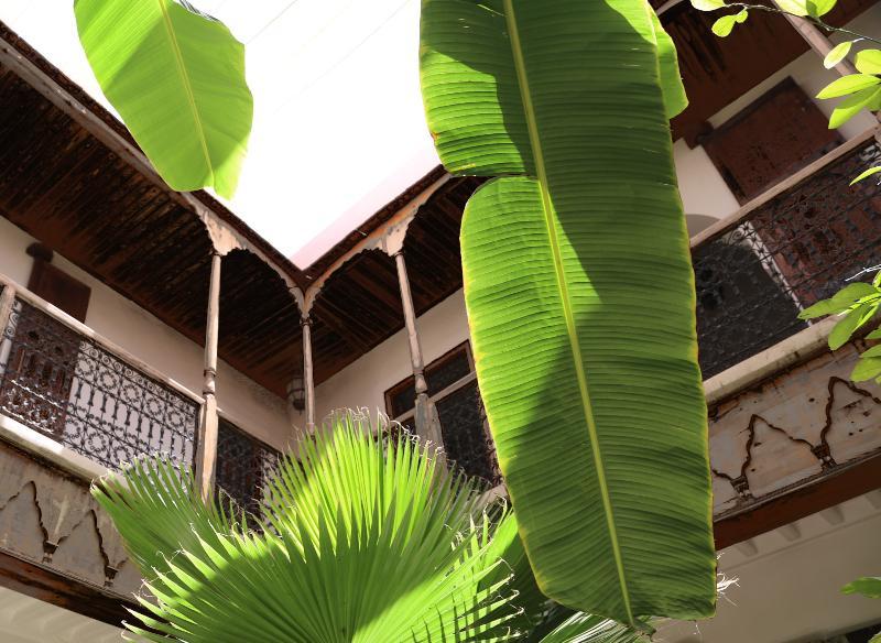 Riad Djebel 3*