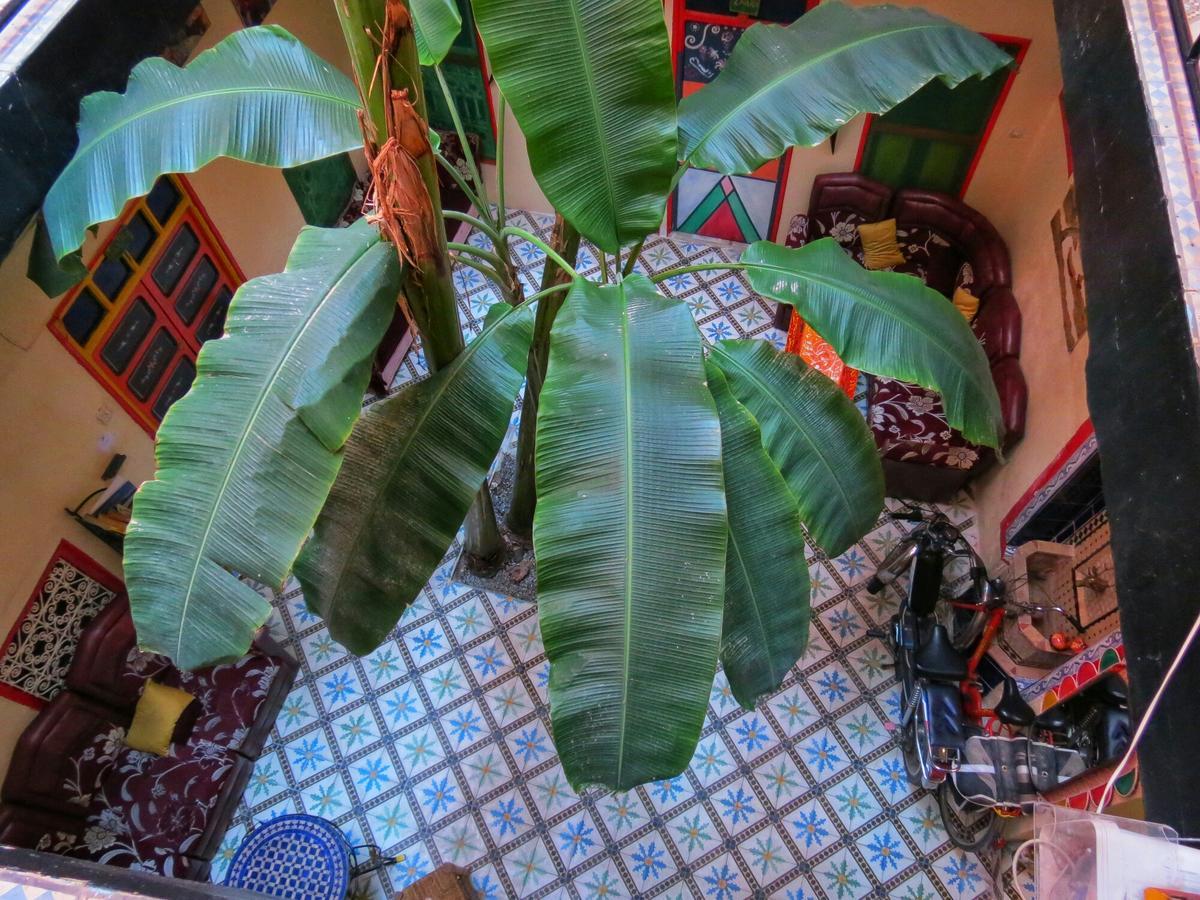Espagne Riad Marraquexe