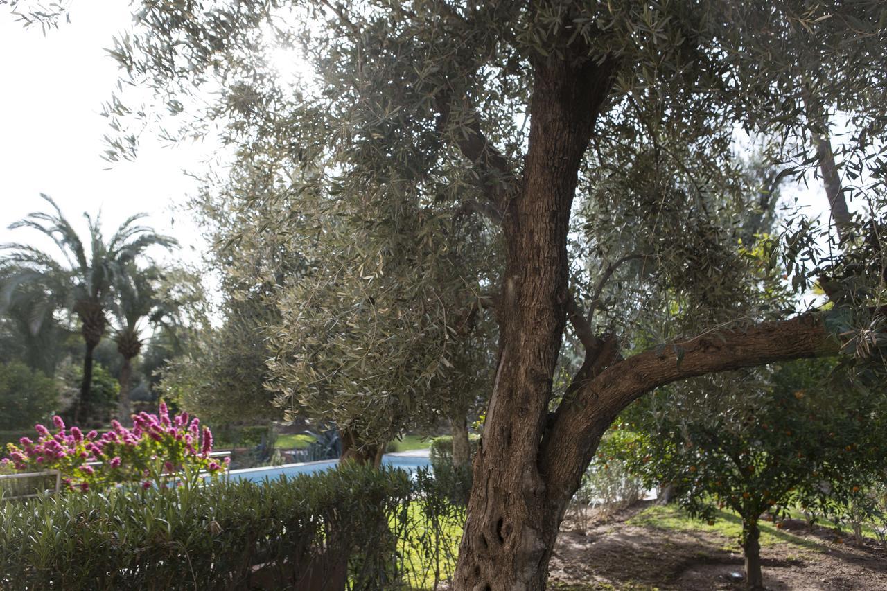 Bed & Breakfast Beyt Rim - Et 4*