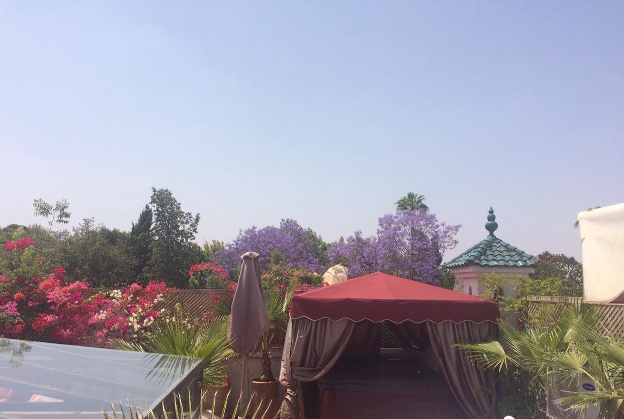 Reves D'orient &