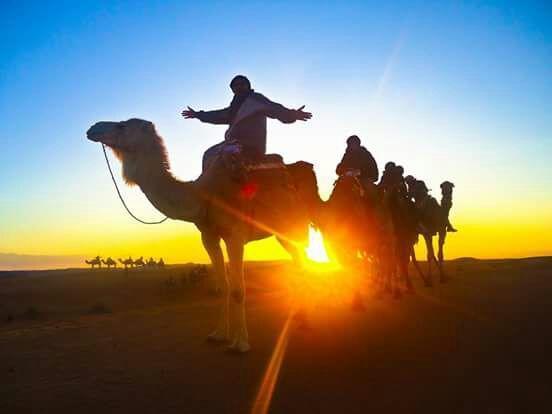 Hanafi Homestay Marrakesh