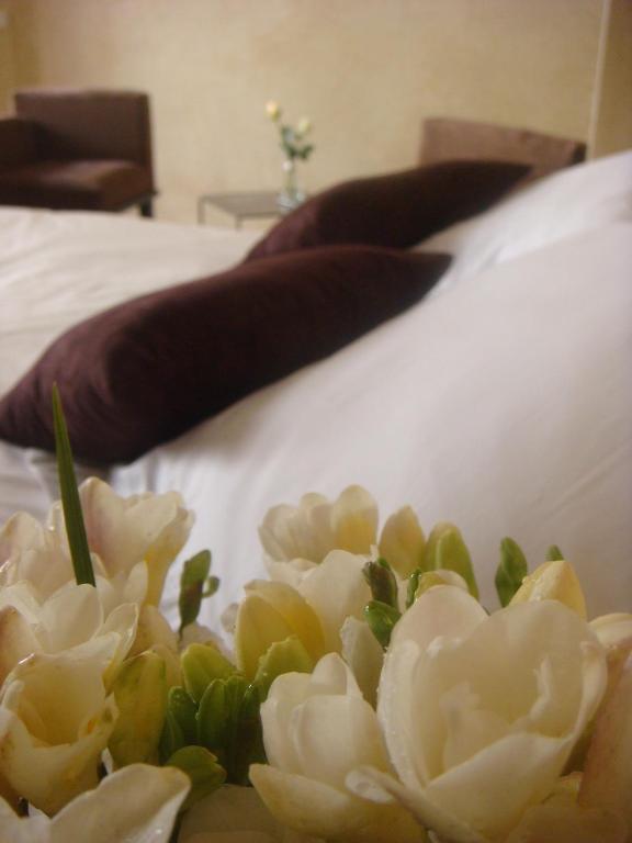 Dar Selen Riad 3*