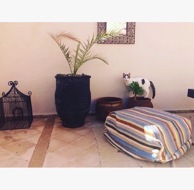 Nejma Lounge