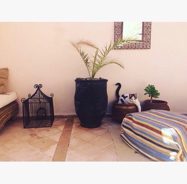 Nejma Lounge Riad Marrakesh