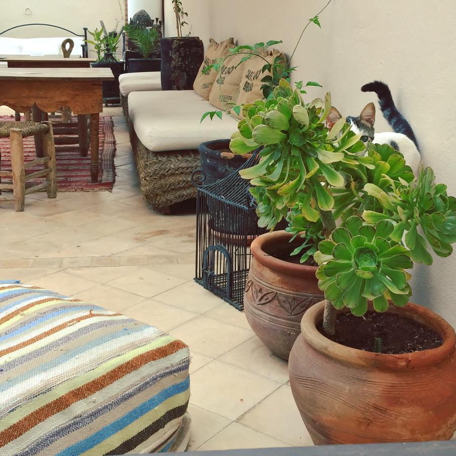 Riad Nejma Lounge 3*