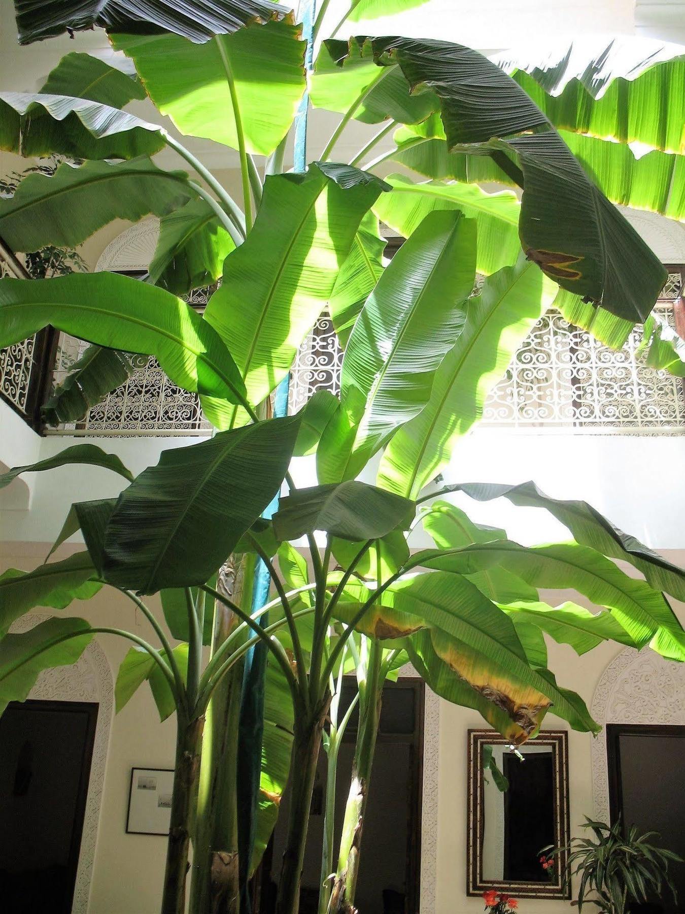 Riad Marhbabikoum Marrakesh
