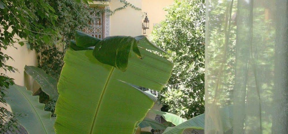Harmonie Marrakesh