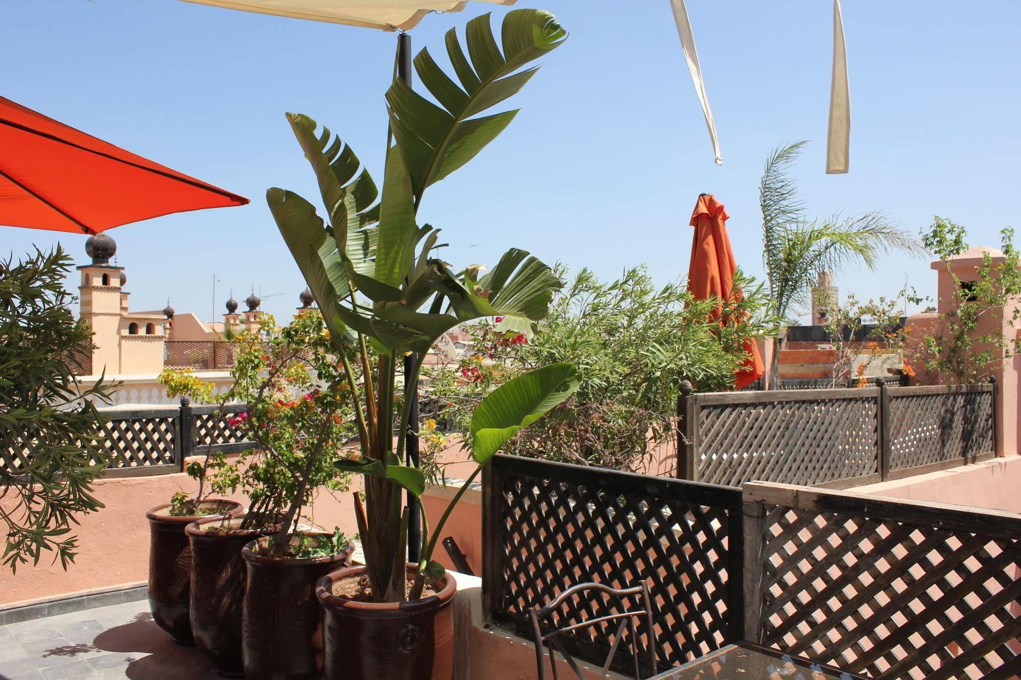 Le Bel Oranger Riad Marraquexe