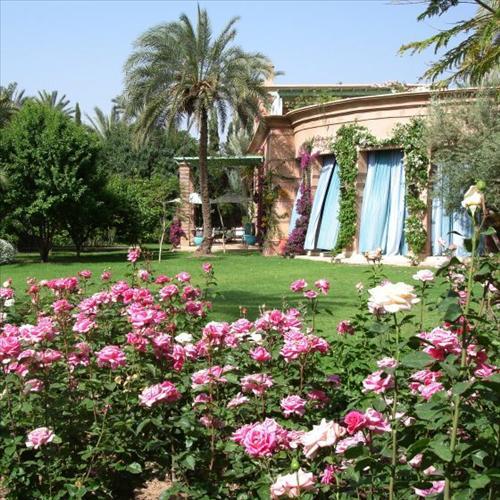 Guest house Dar Zemora