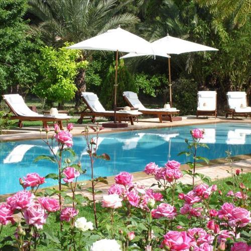 Dar Zemora Guest house Marrakesh