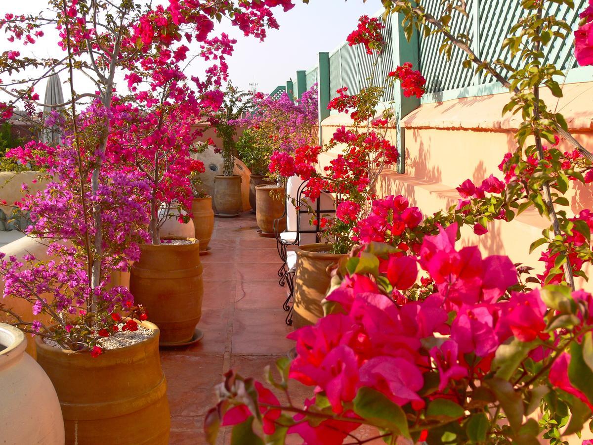 Bed & Breakfast El Mezouar 4*