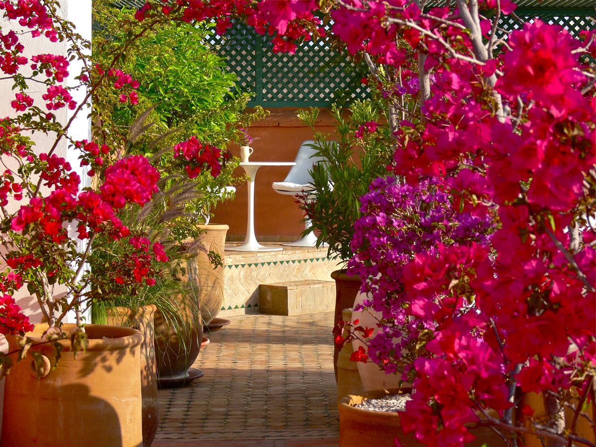 El Mezouar Bed & Breakfast Marrakesh