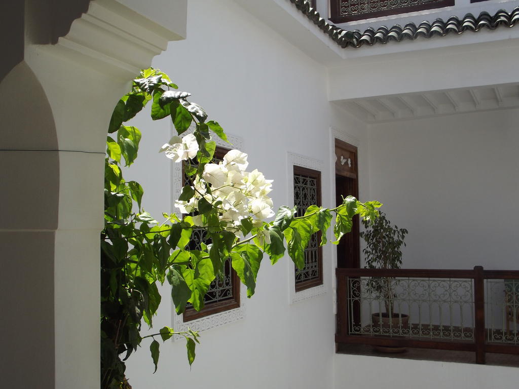 Riad Les Bougainvilliers Marrakesh