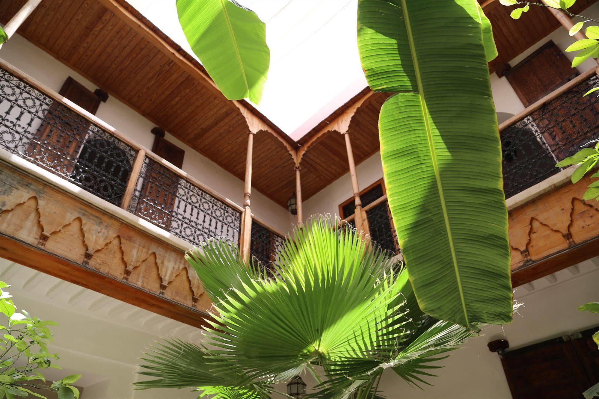 Djebel Riad
