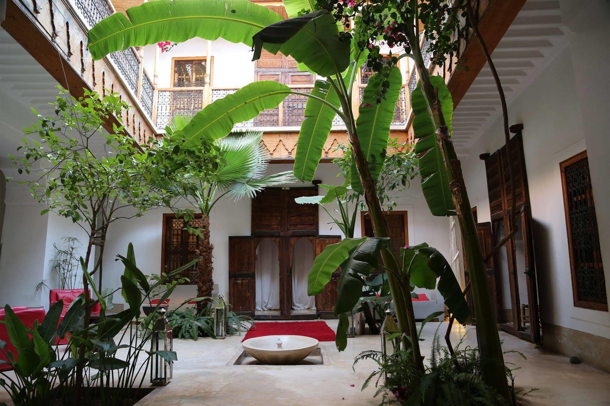 Djebel Riad 3*