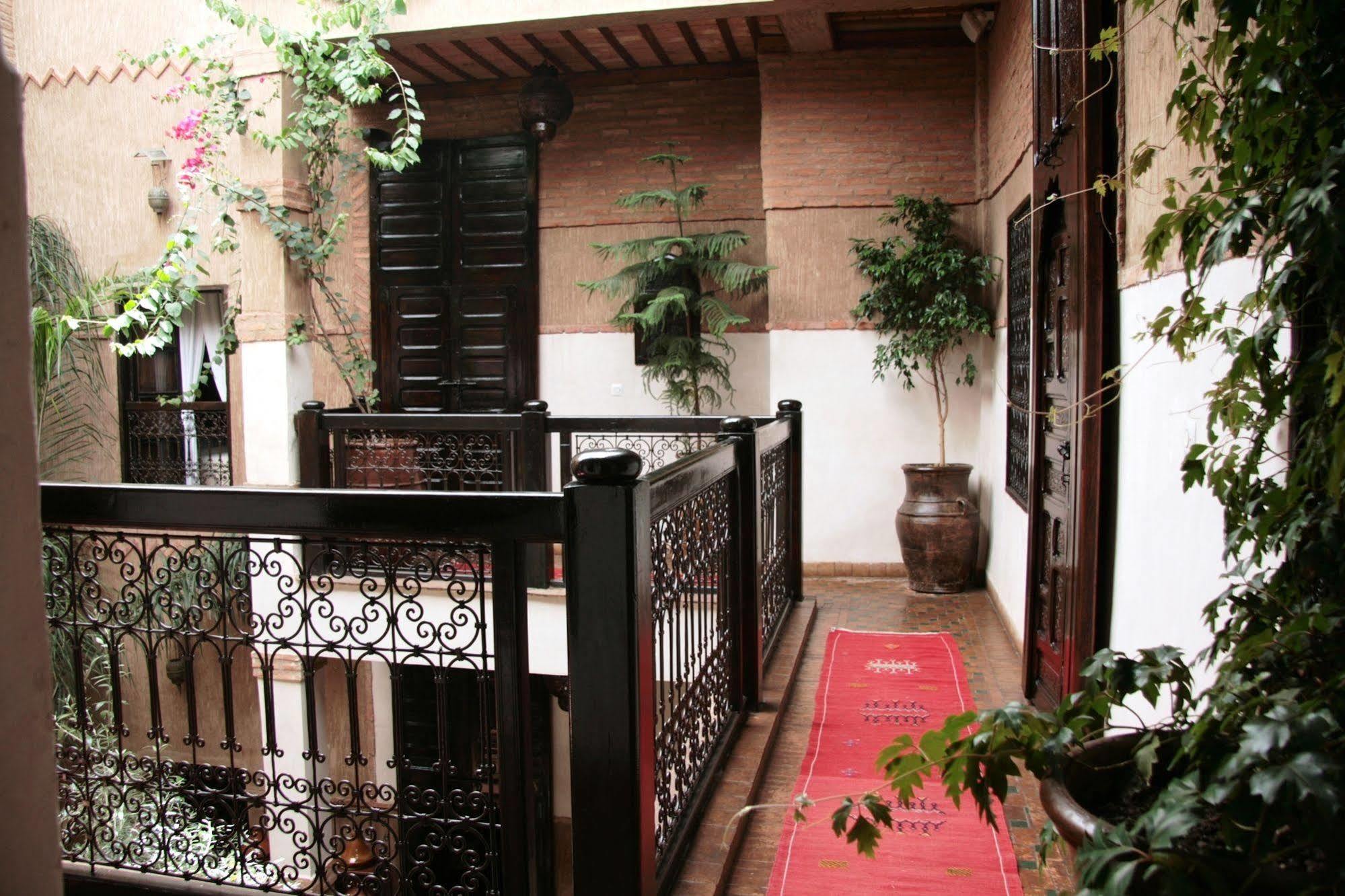Carina Riad 3*