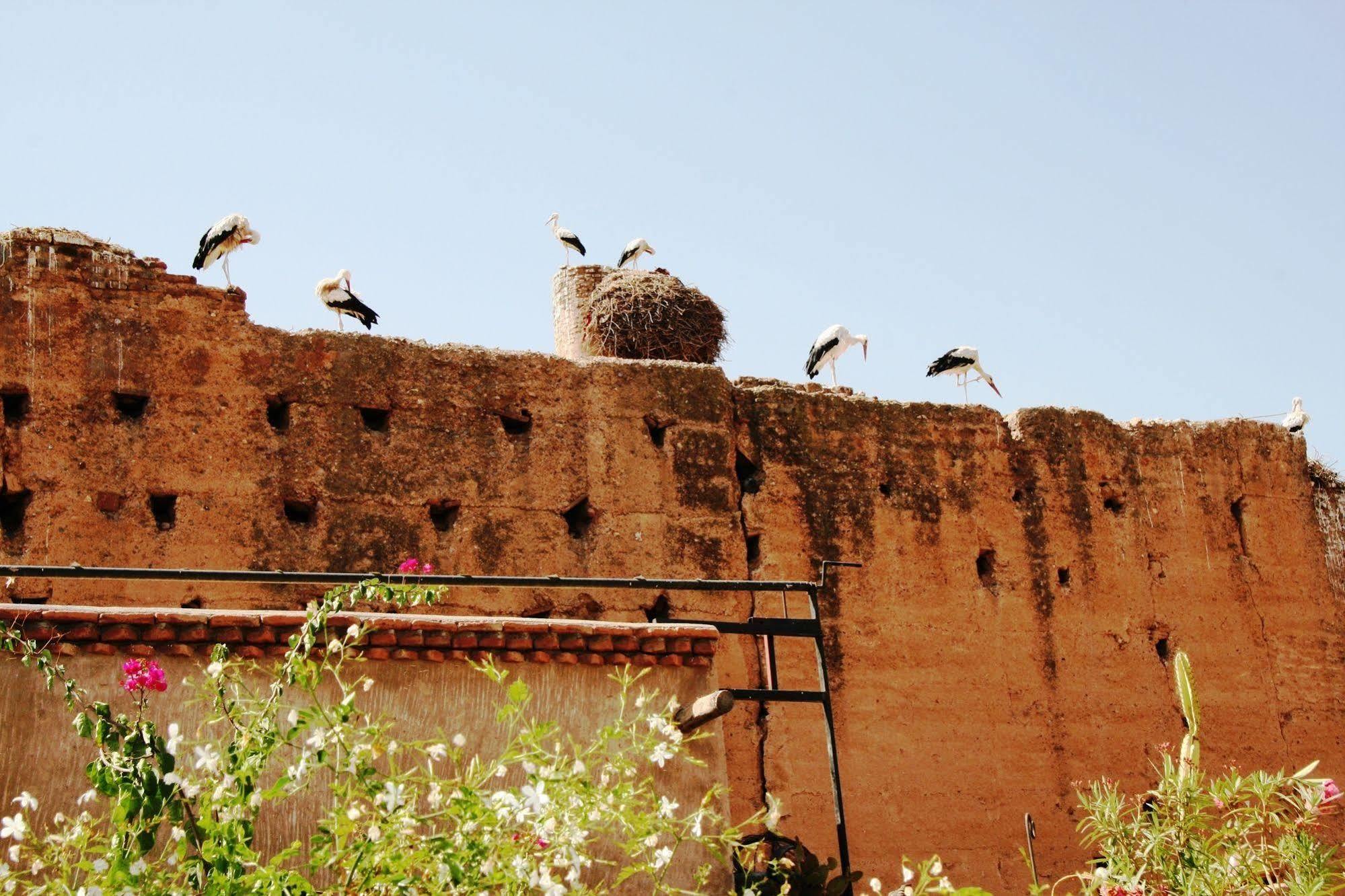 Riad Carina Marrakesh