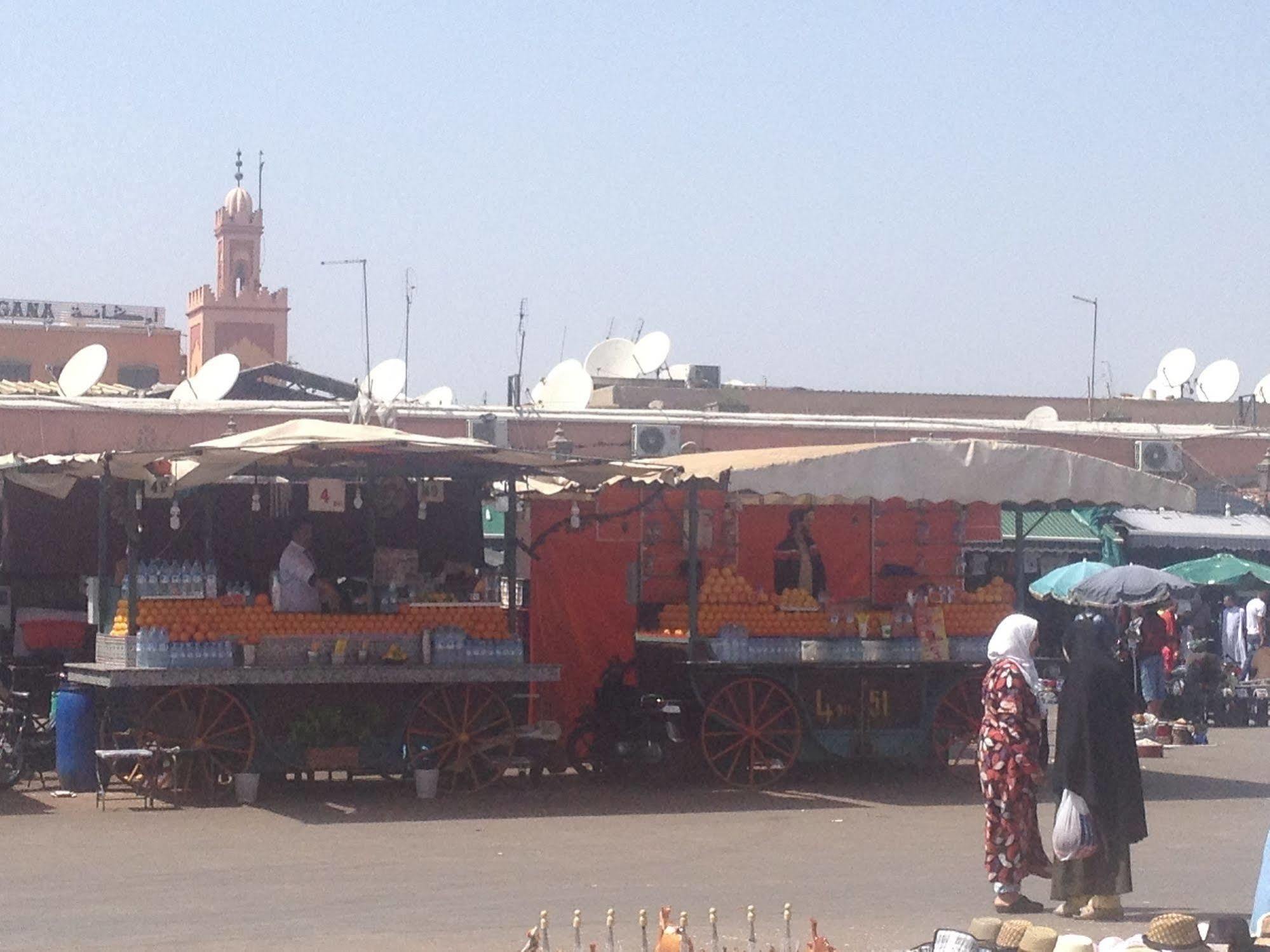 Mariana Marrakesh