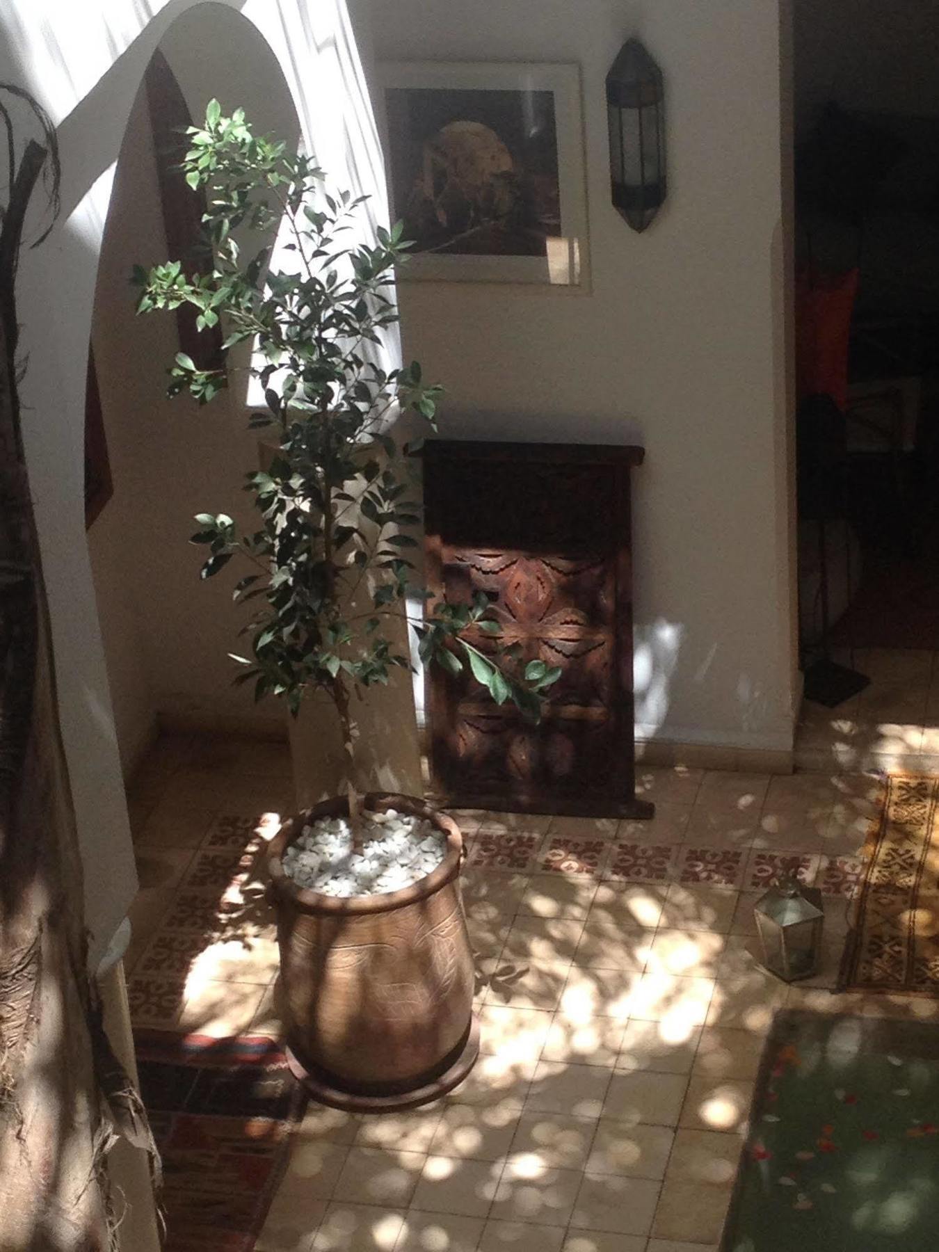 Mariana 4* Marrakesh