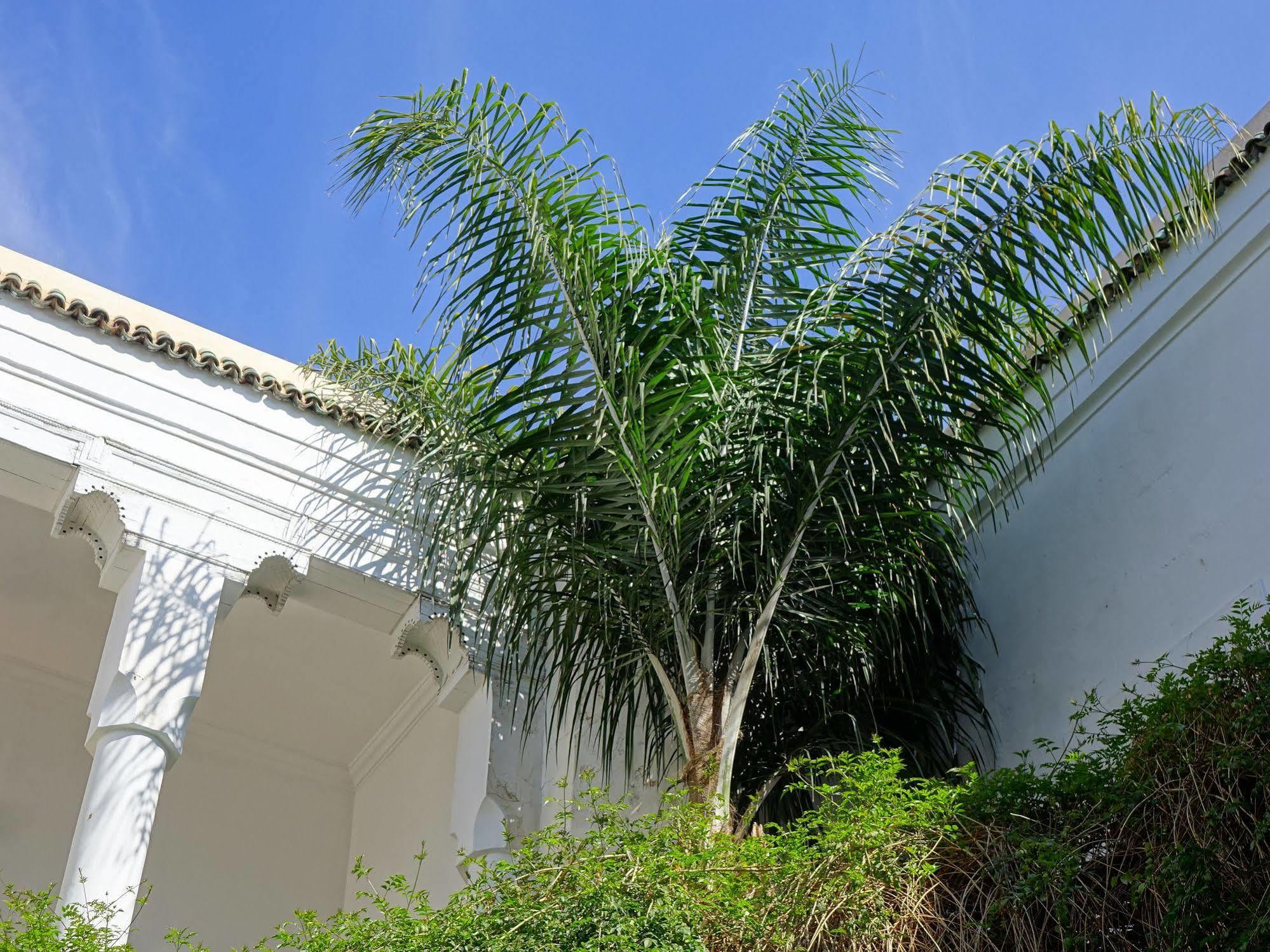 Al Assala Guest house Marrakesh