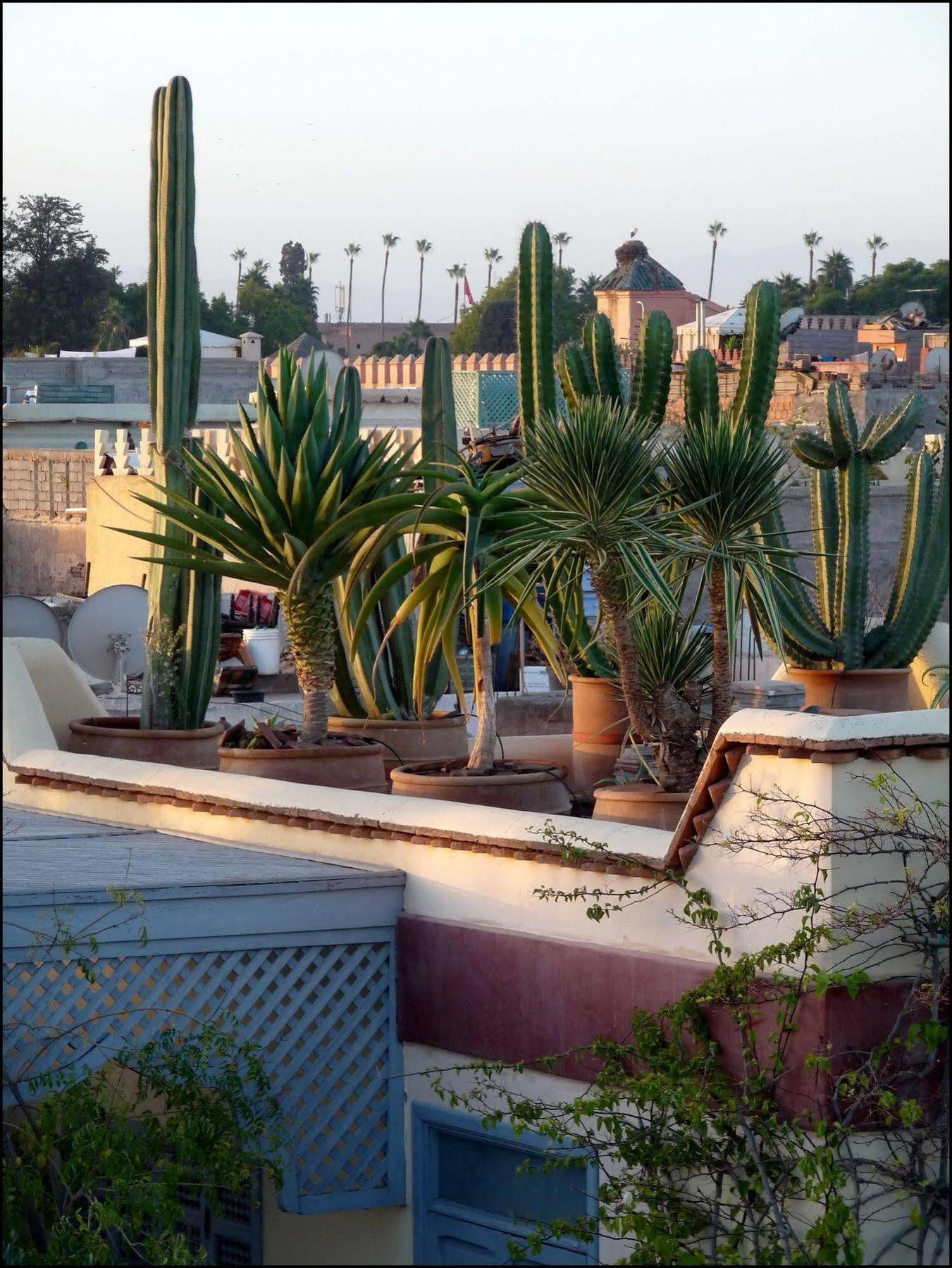 Noos Noos 3* Marrakesh