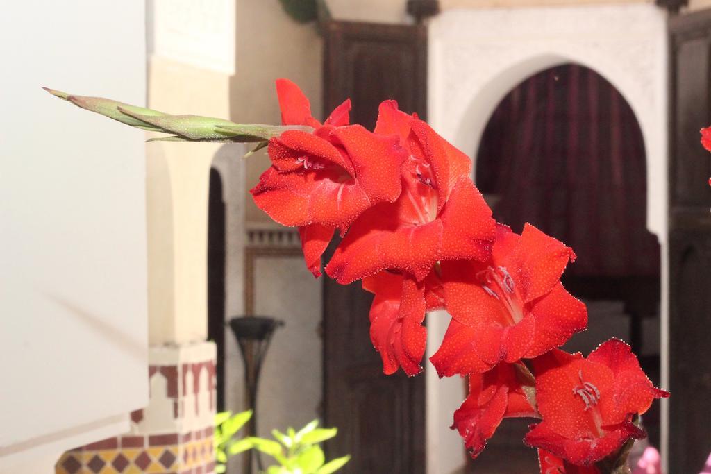 Les Clefs Du Sud Marrakesh