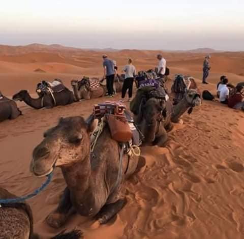 Hanafi Marrakesh