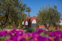 Hotel Palais Aziza & 5*