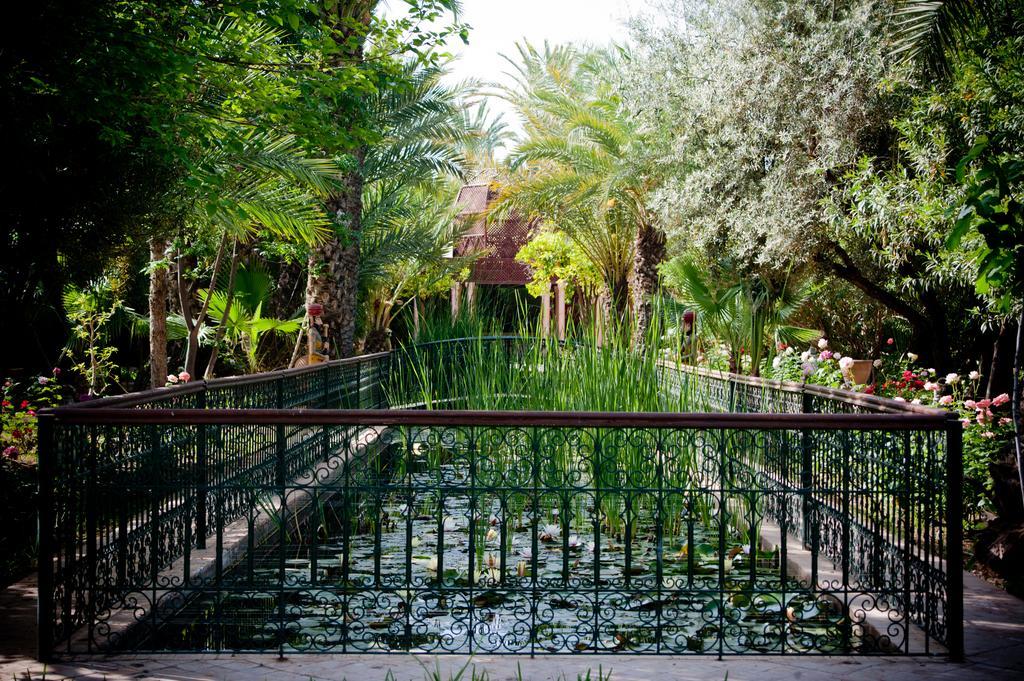 Dar Ayniwen Garden & Bird Zoo Casa de hóspedes