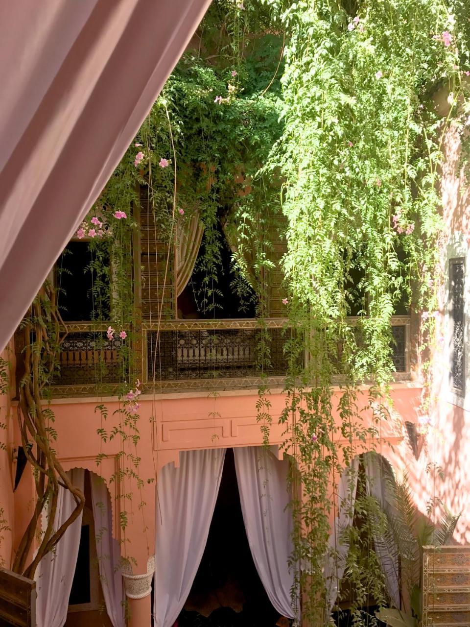 Couette-café The Bohemian Jungle *