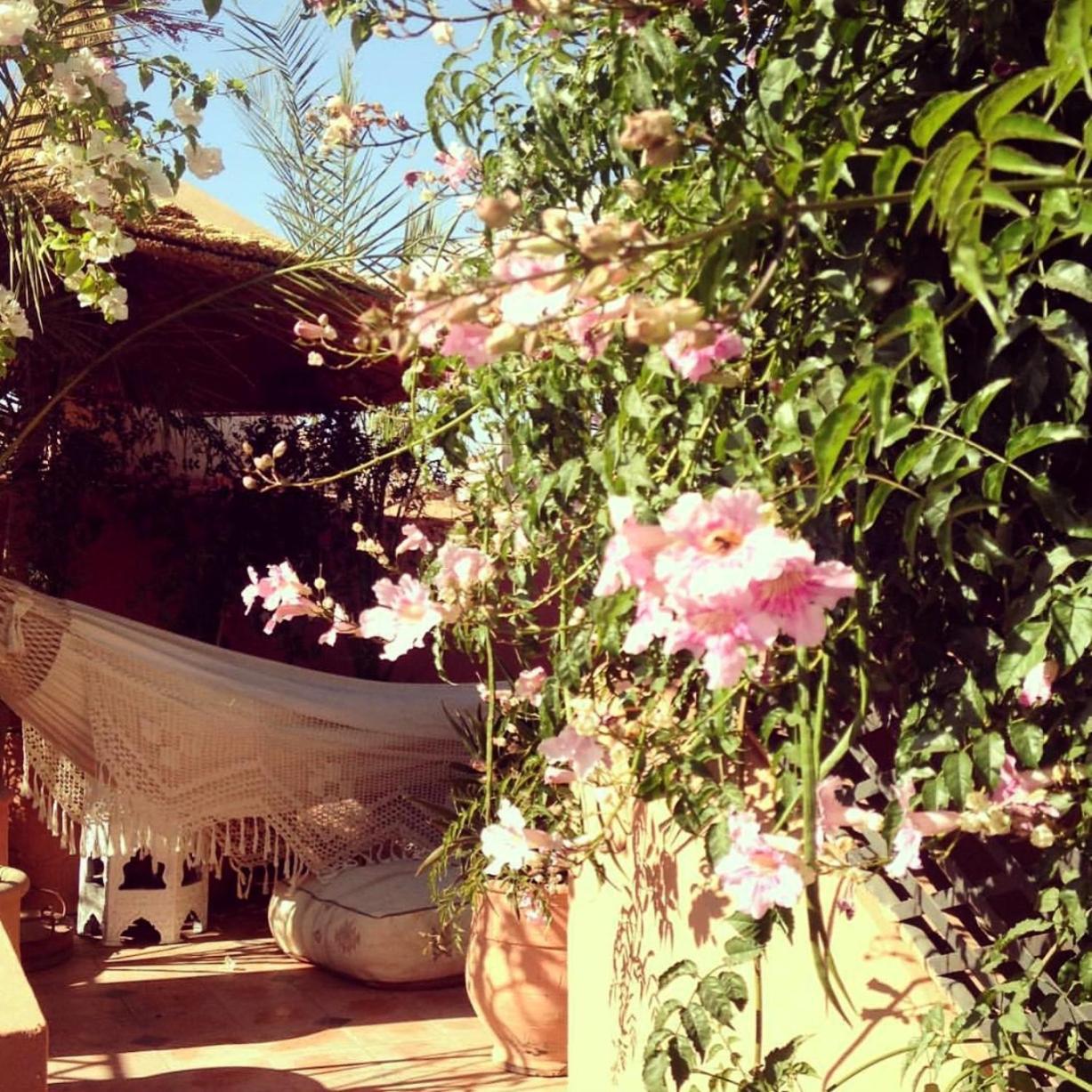 Couette-café The Bohemian Jungle *