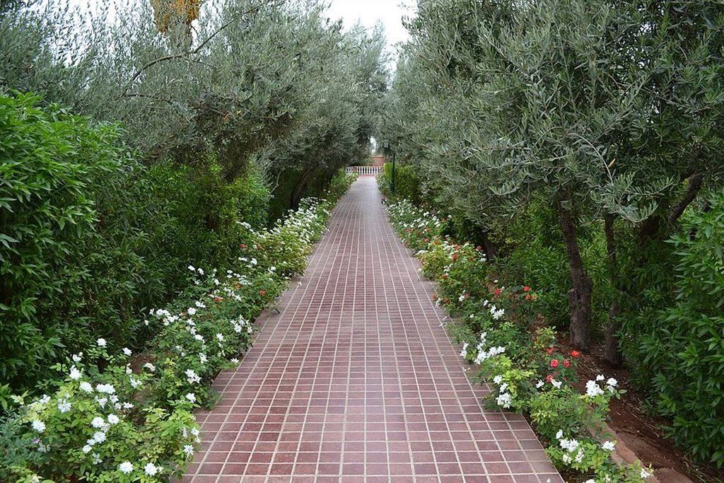 In Club Palmeraie 3* Marrakesh