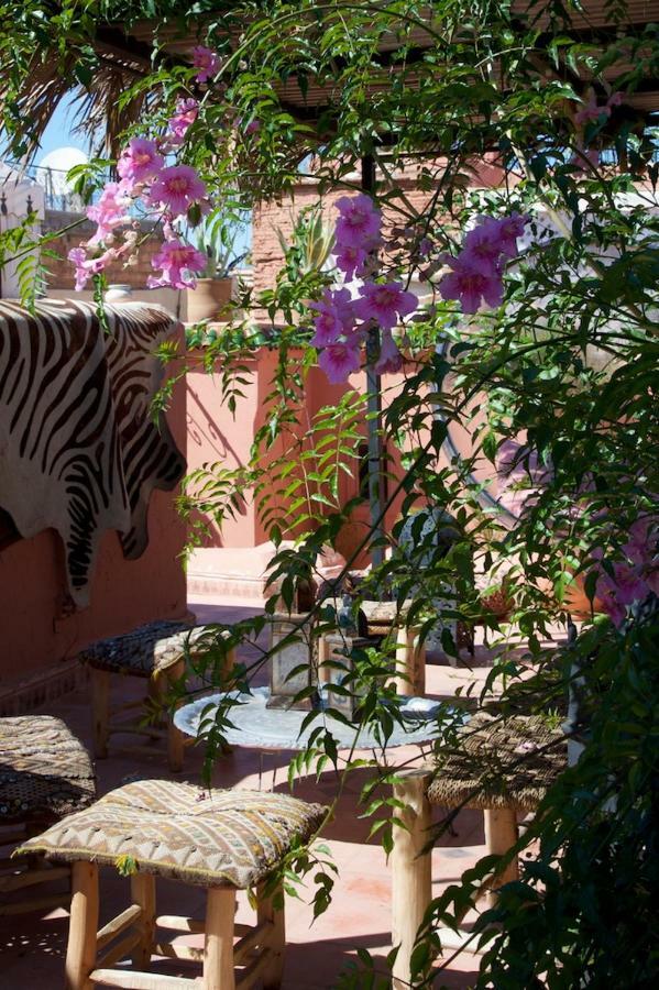 Couette-café The Bohemian Jungle *