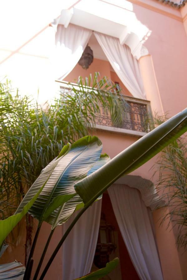 The Bohemian Jungle Marrakesh