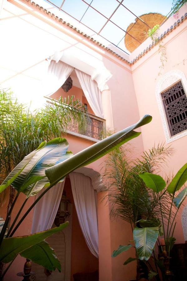 The Bohemian Jungle * Marrakesh