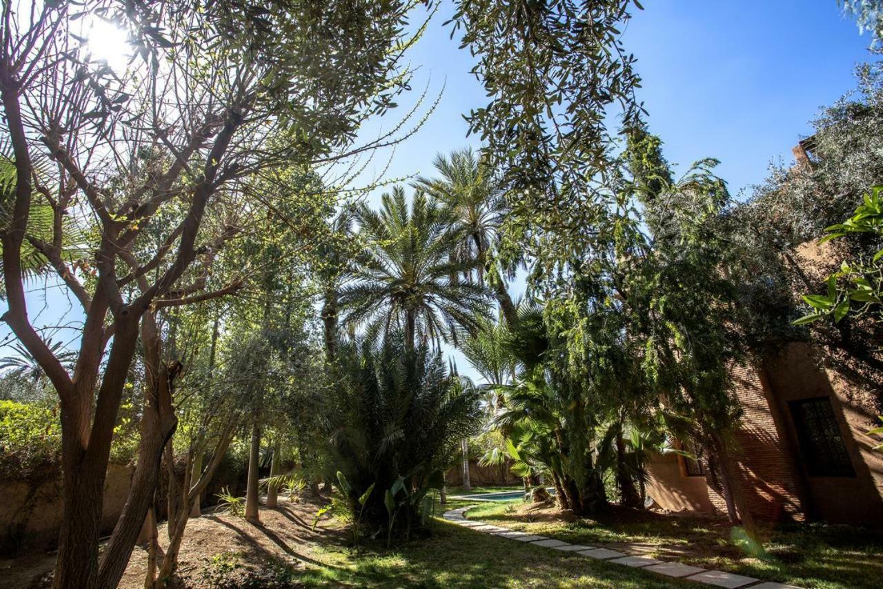 Villa Atlas De Luxe Avec Piscine Privee Domaine Des Kasbahs *