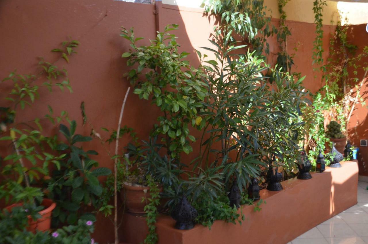 Ryad Ayad Guest house *