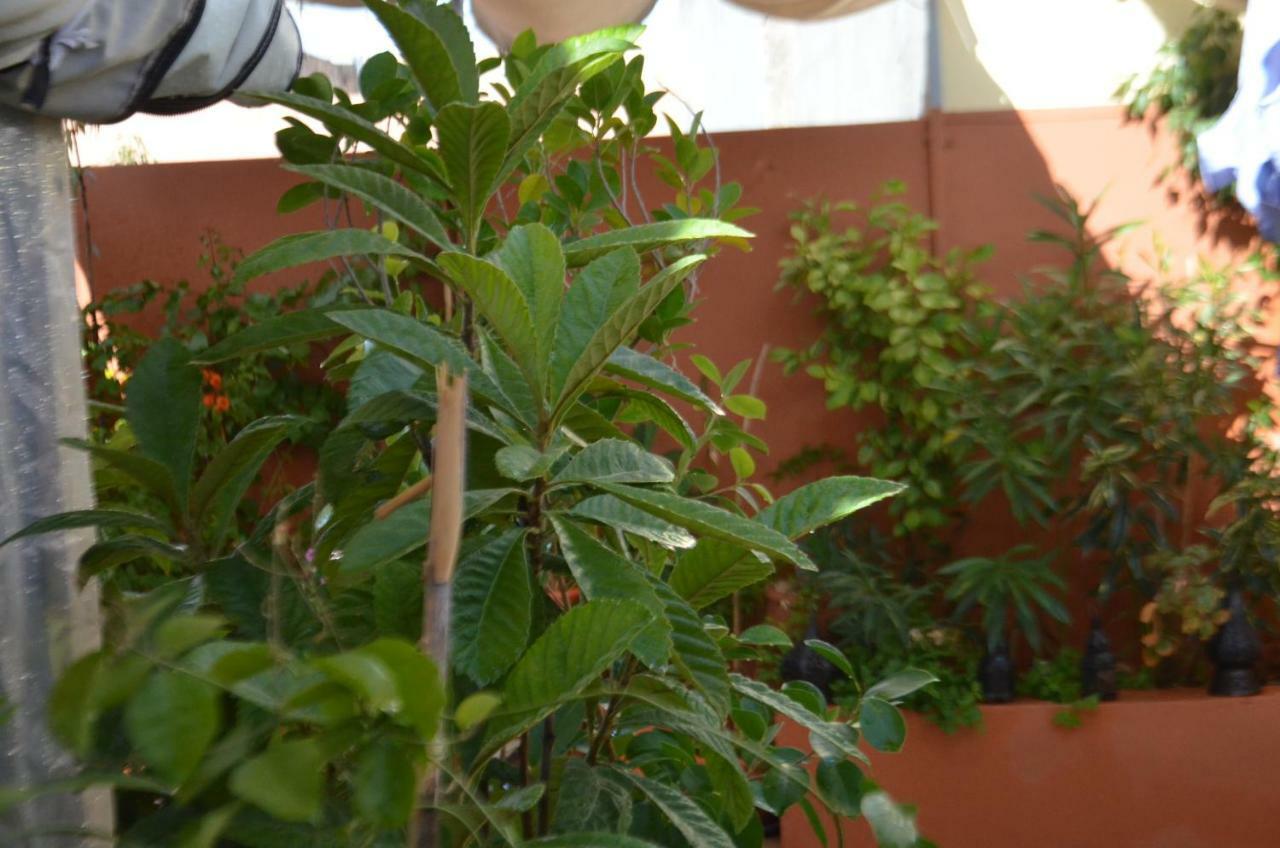 Ryad Ayad Guest house Marrakesh