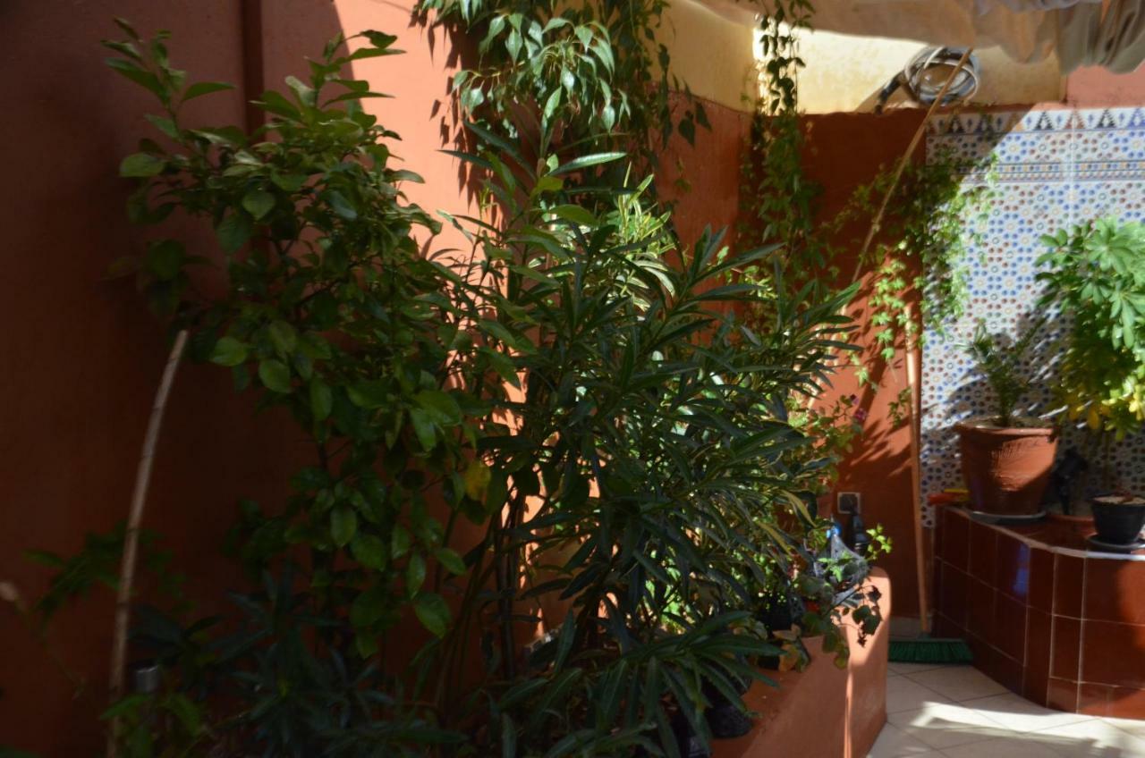 Ryad Ayad Guest house