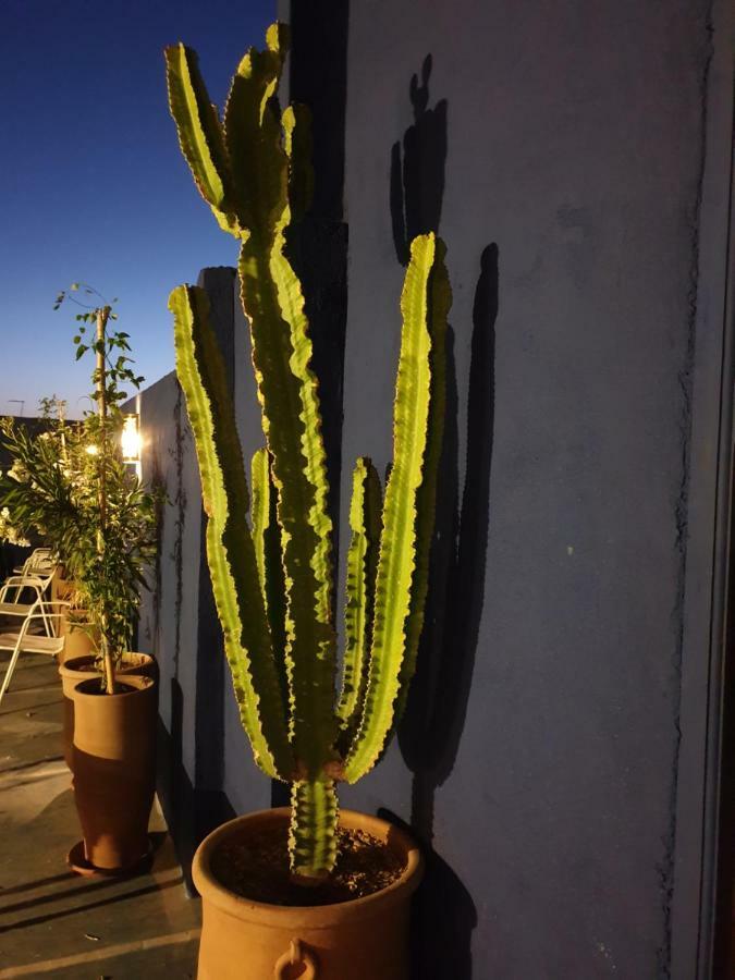 Zwin Zwin Boutique-hotel Hotel Marrakesh