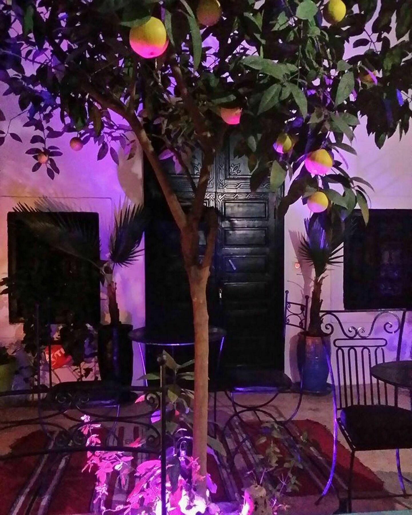 Gaya 3* Marrakesh
