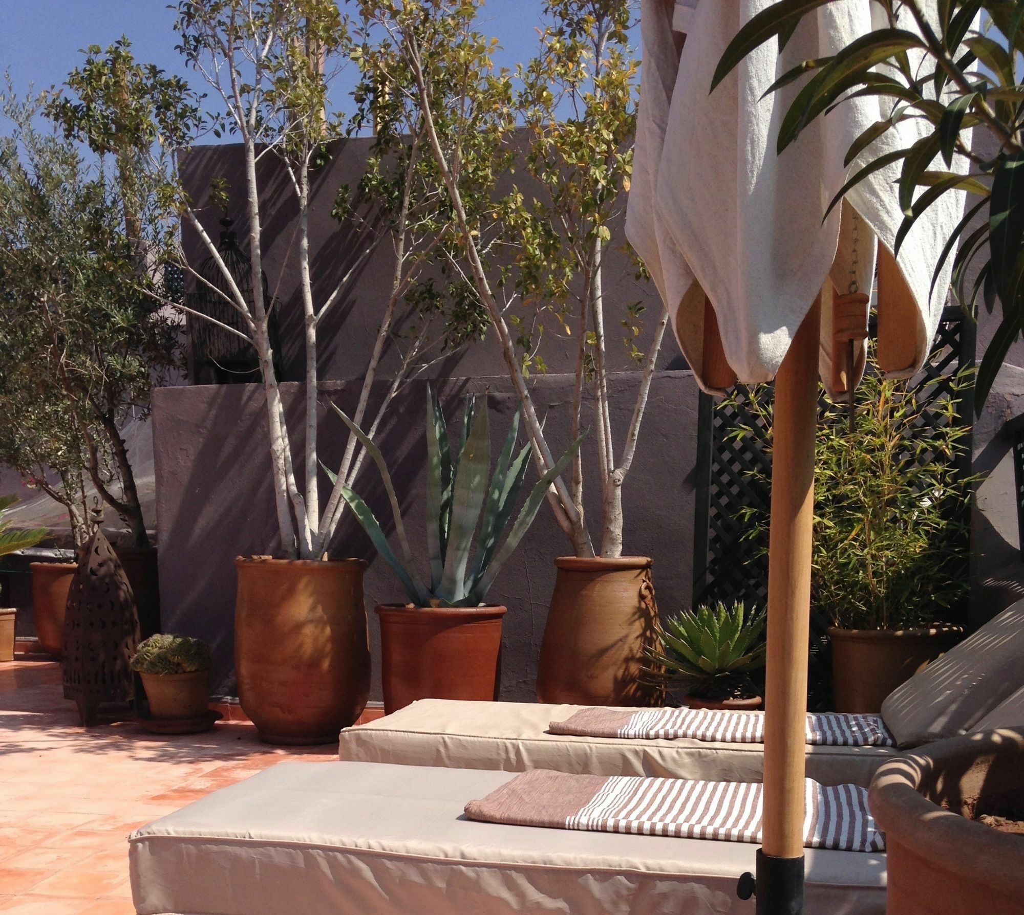 Timila 3* Marrakesh