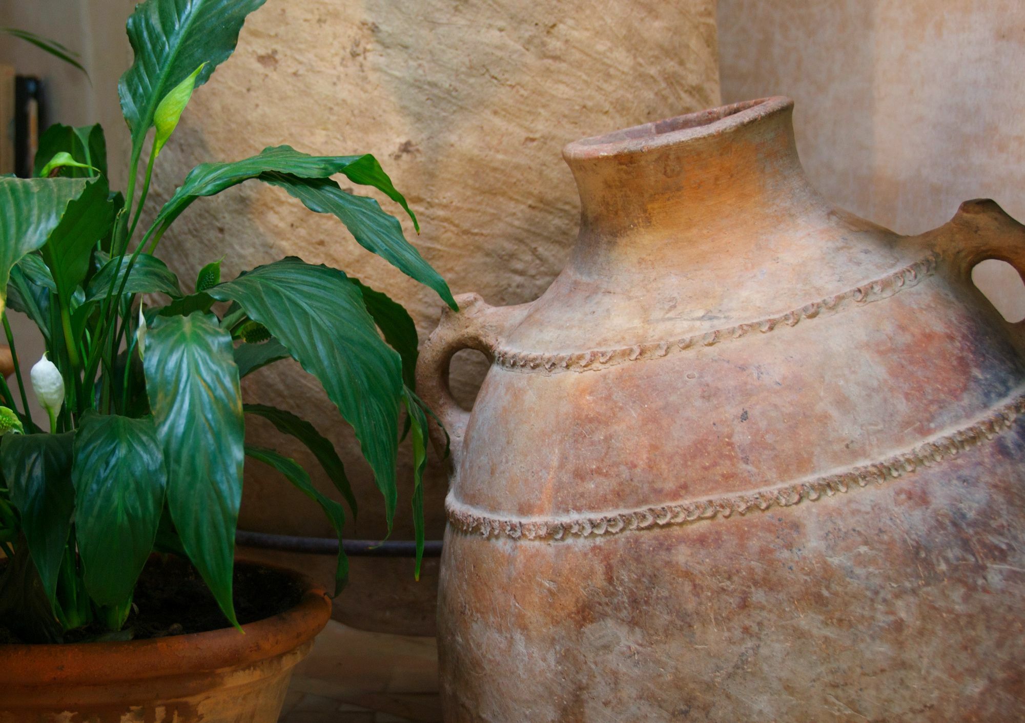 Dar Housnia Marrakesh
