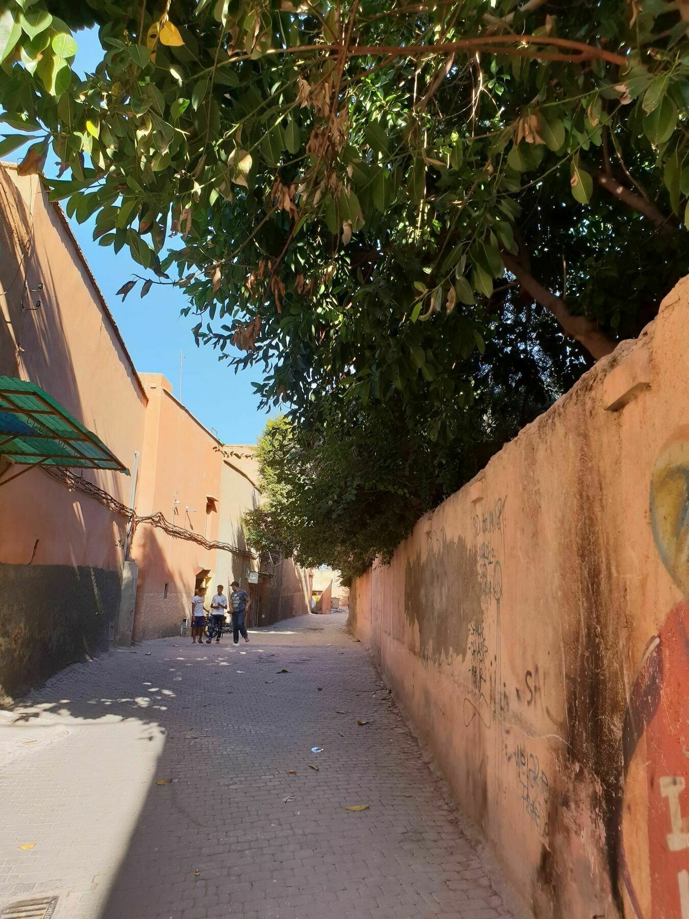 Dar Warda Riad