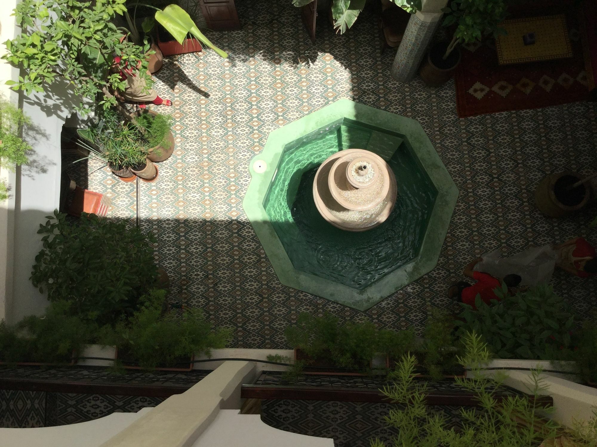 Abelia - 2024 Traveler's Choice Award Marrakesh