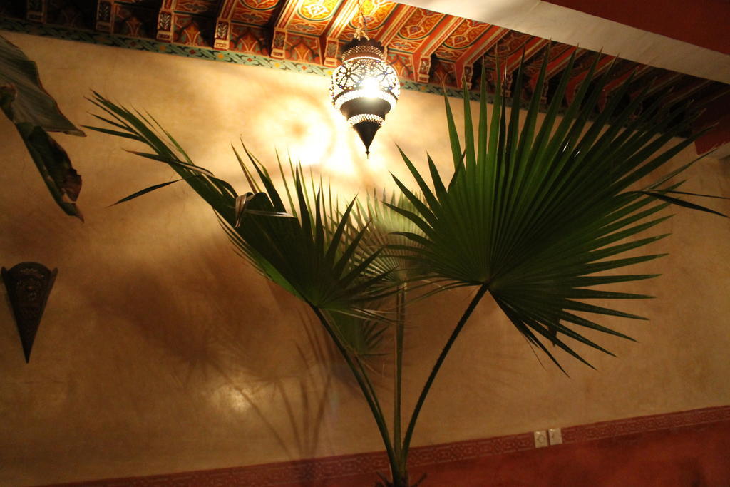 Riad Naya