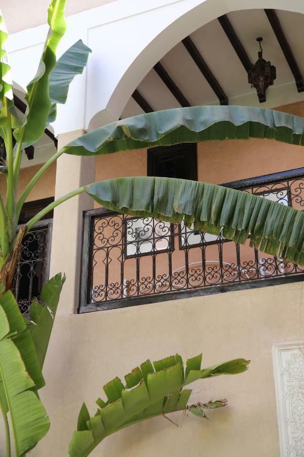 L'oiseau Du Paradis Riad