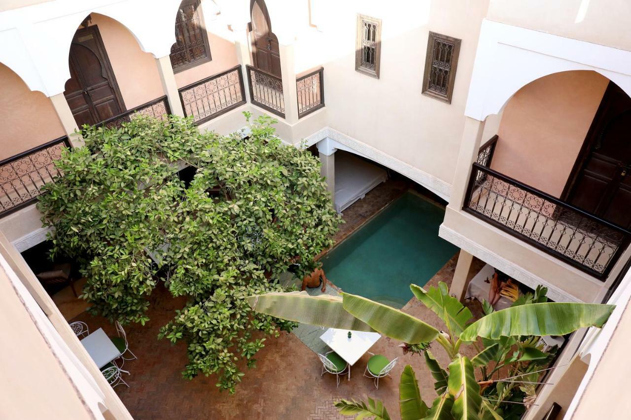 L'oiseau Du Paradis Riad Marraquexe