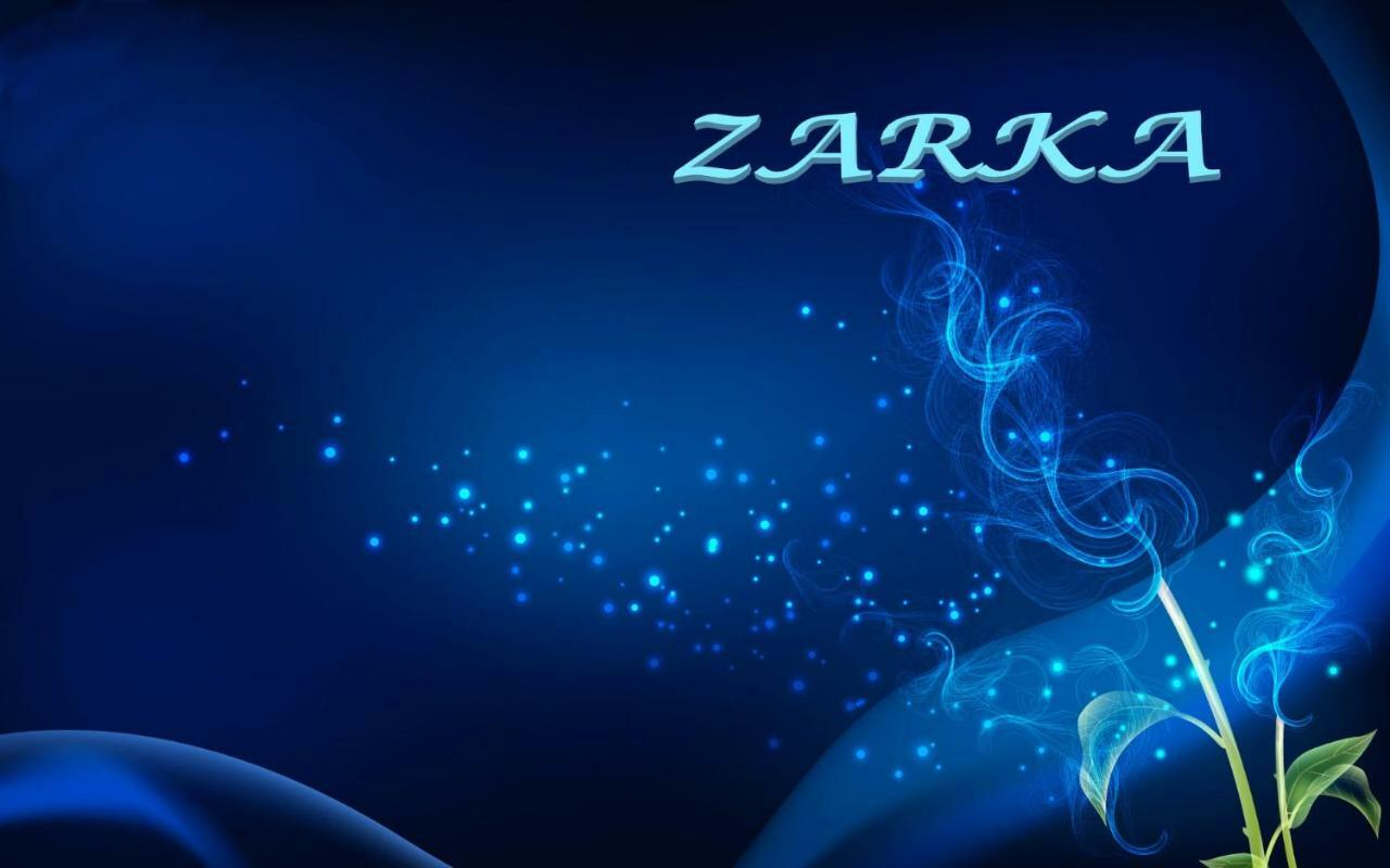 Riad Zarka By La Siredrah 3*