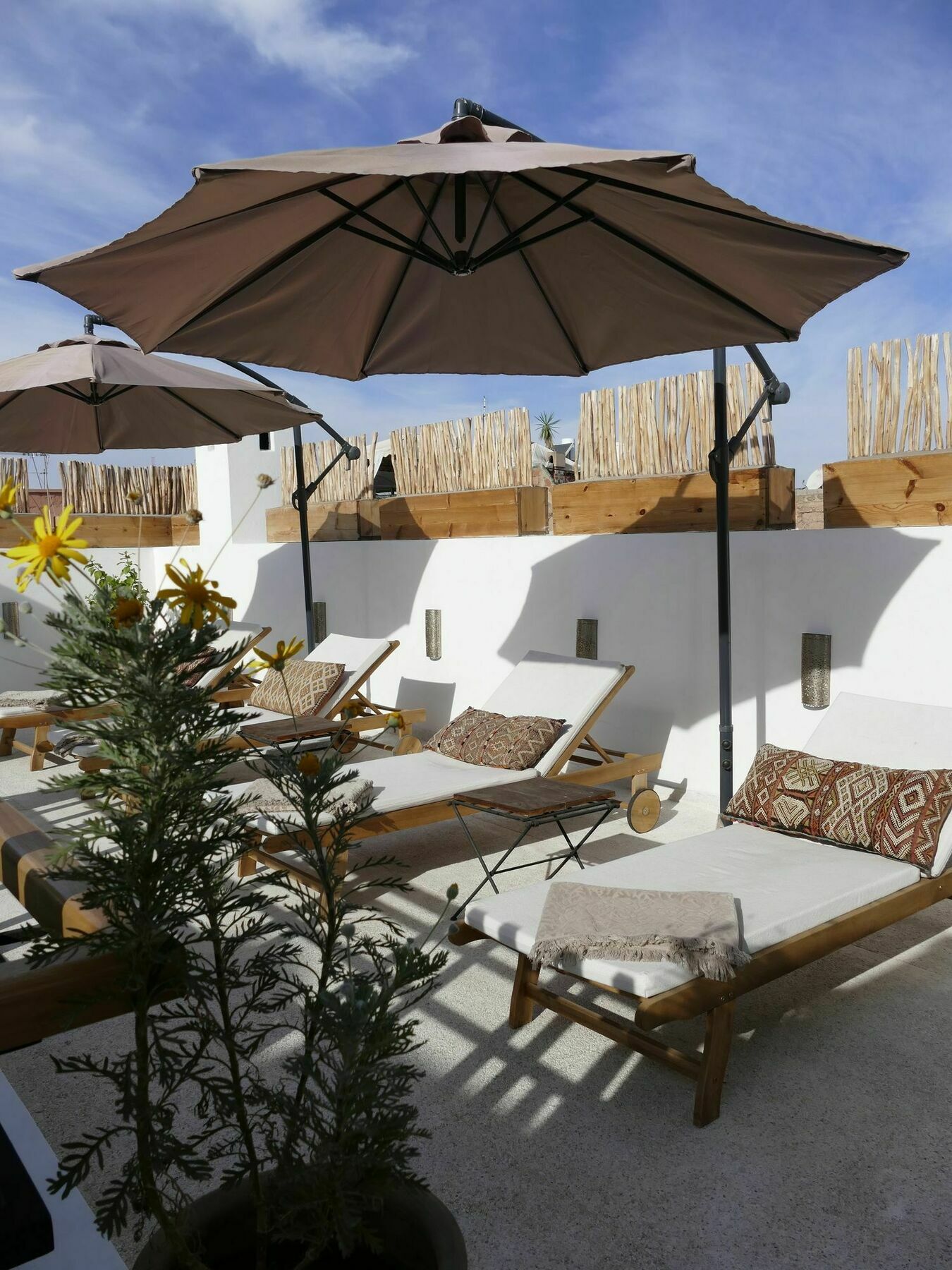 Guest house Zebrakaro